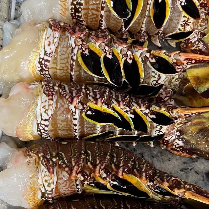 Cauda de lagosta 