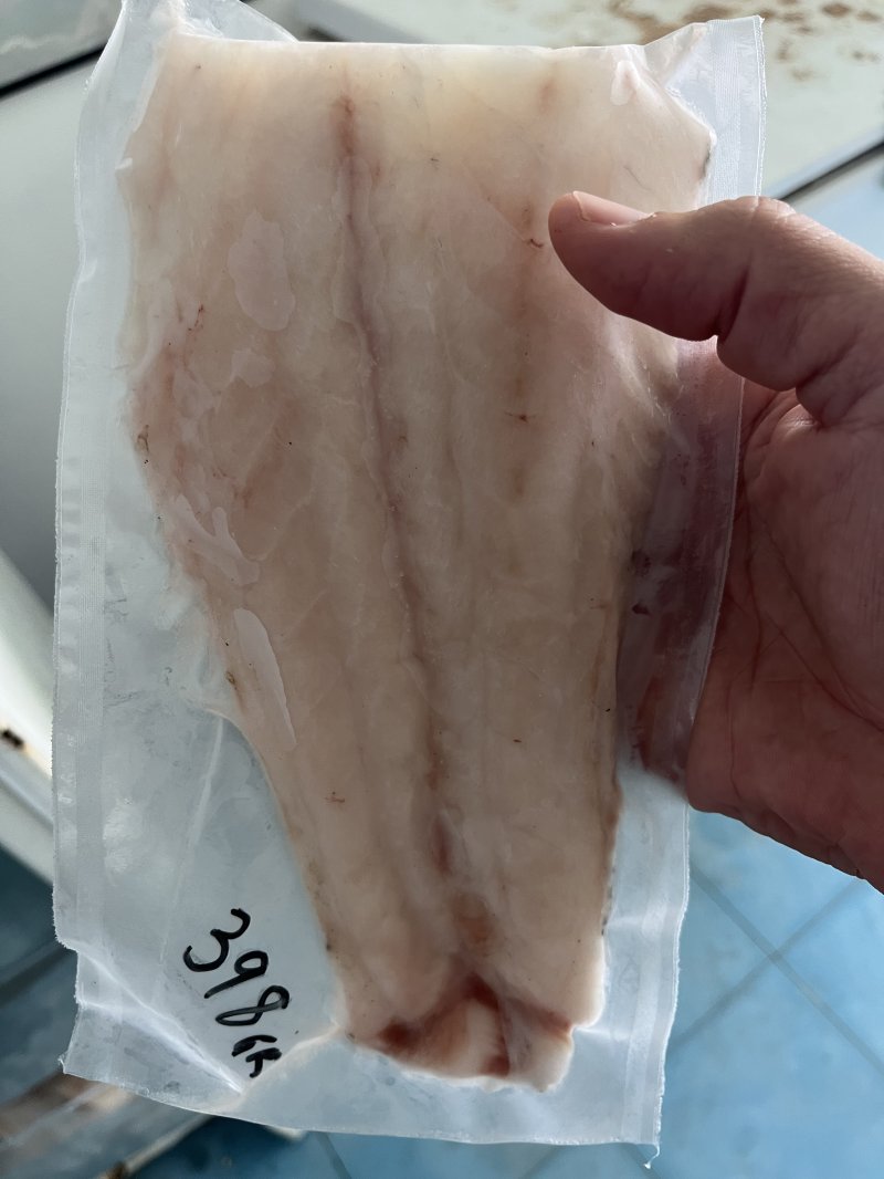 Robalo Filé